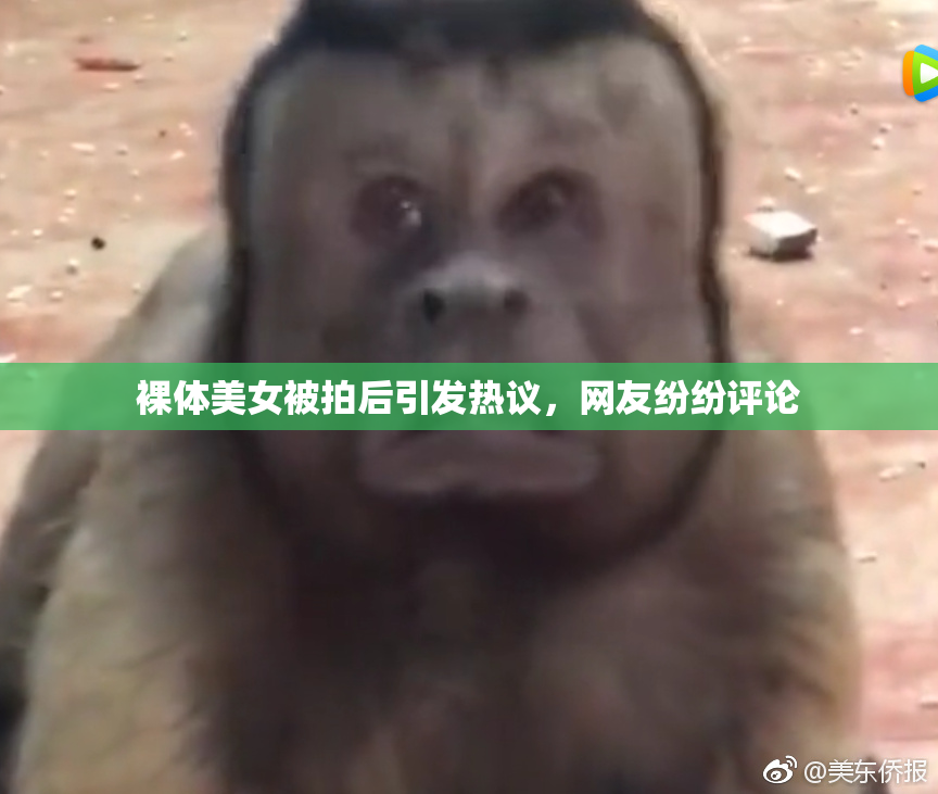 裸体美女被拍后引发热议，网友纷纷评论