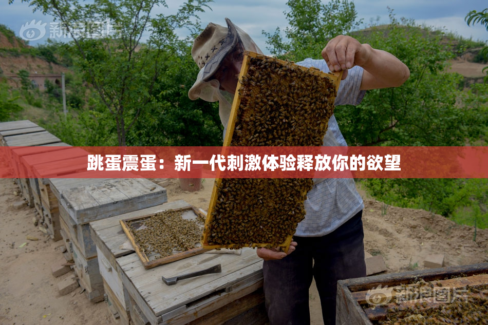 跳蛋震蛋：新一代刺激体验释放你的欲望