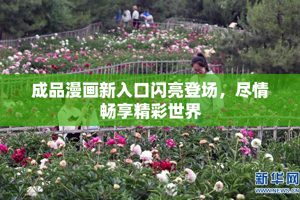 成品漫画新入口闪亮登场，尽情畅享精彩世界