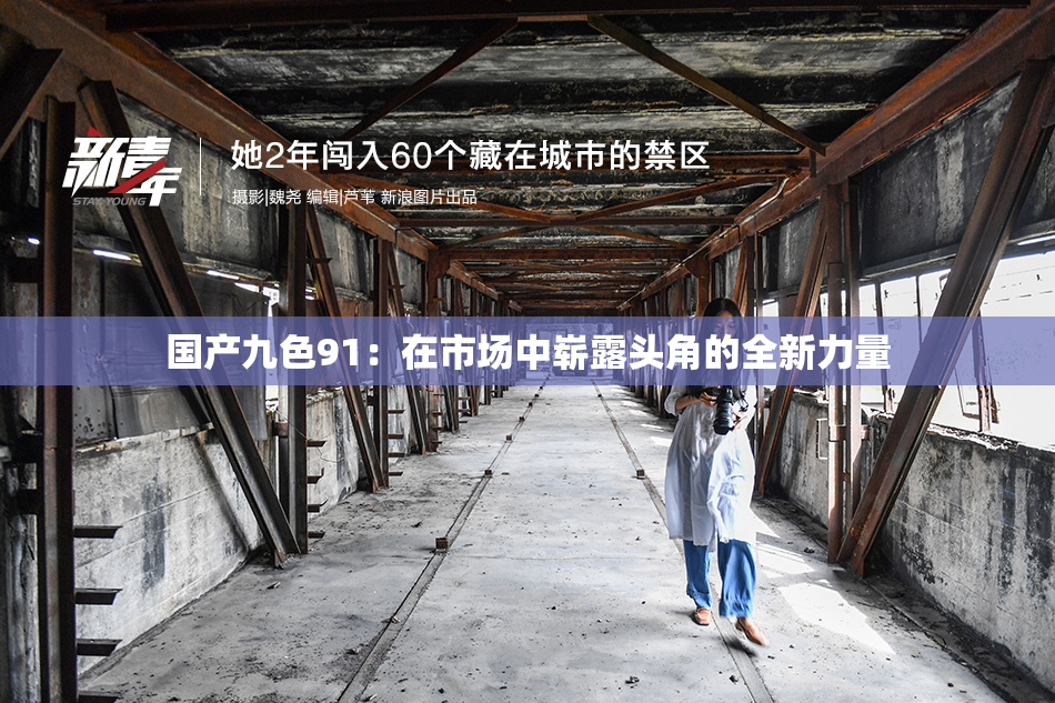 国产九色91：在市场中崭露头角的全新力量