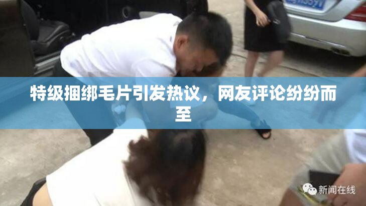 特级捆绑毛片引发热议，网友评论纷纷而至