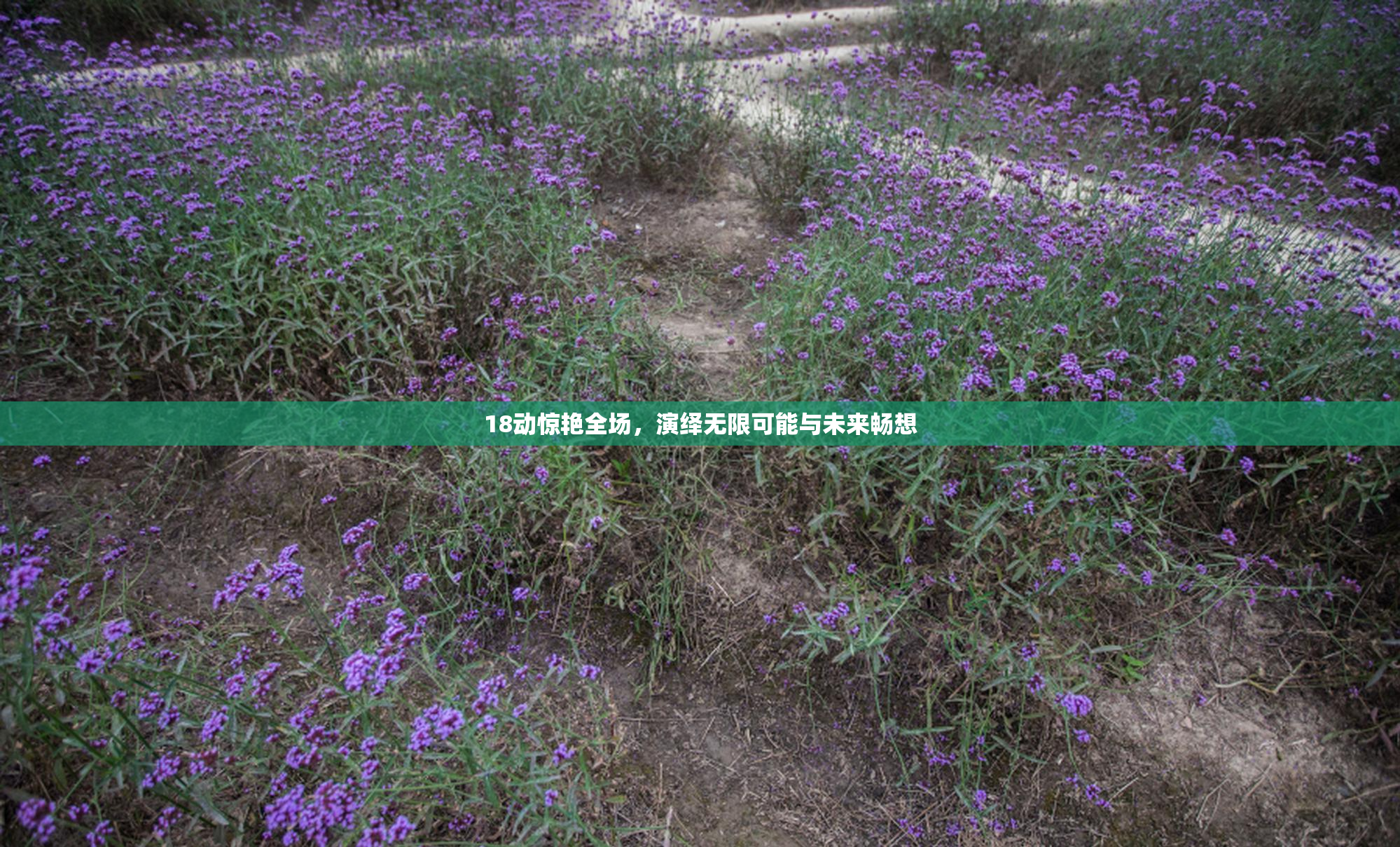 18动惊艳全场，演绎无限可能与未来畅想