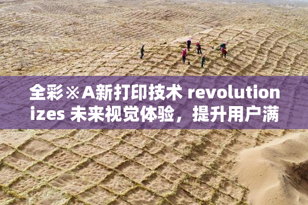 全彩※A新打印技术 revolutionizes 未来视觉体验，提升用户满意度