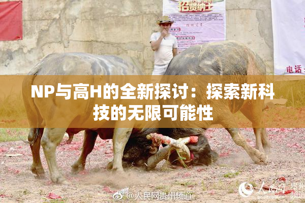 NP与高H的全新探讨：探索新科技的无限可能性
