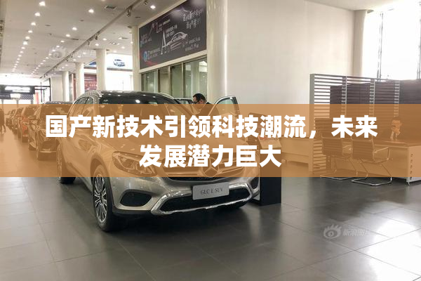 国产新技术引领科技潮流，未来发展潜力巨大