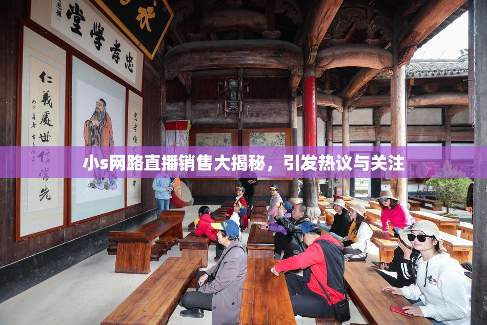 小s网路直播销售大揭秘，引发热议与关注