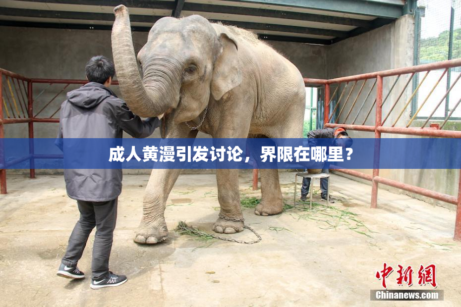 成人黄漫引发讨论，界限在哪里？