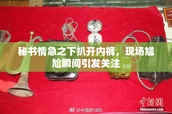 秘书情急之下扒开内裤，现场尴尬瞬间引发关注