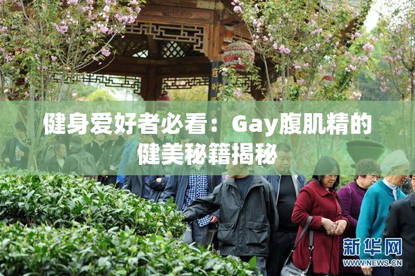 健身爱好者必看：Gay腹肌精的健美秘籍揭秘