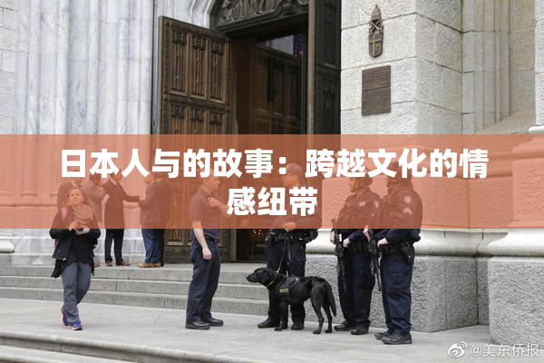 日本人与的故事：跨越文化的情感纽带