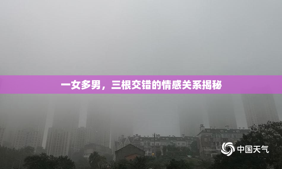 一女多男，三根交错的情感关系揭秘
