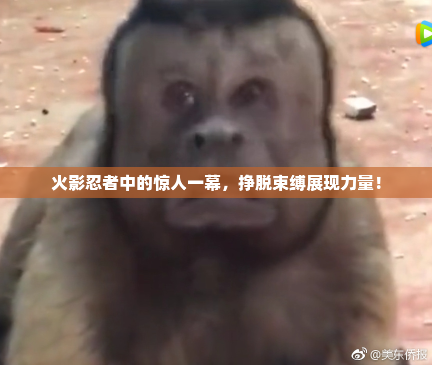 火影忍者中的惊人一幕，挣脱束缚展现力量！
