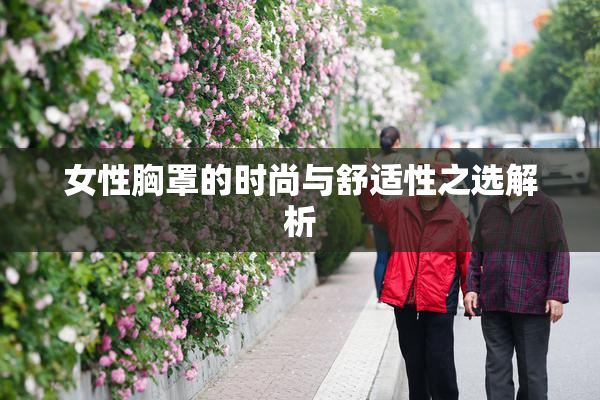 女性胸罩的时尚与舒适性之选解析