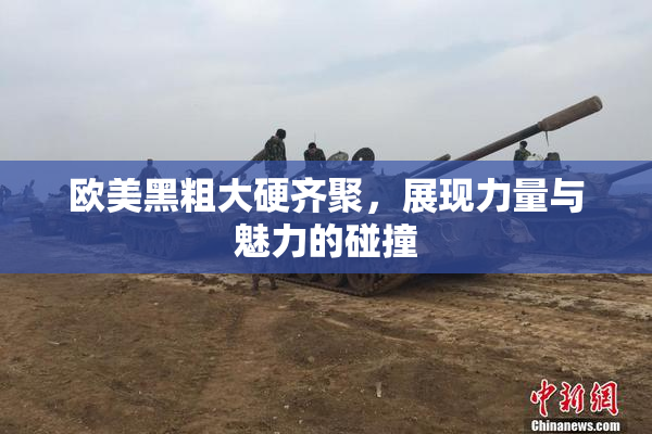 欧美黑粗大硬齐聚，展现力量与魅力的碰撞