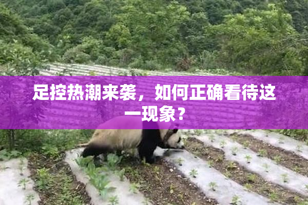 足控热潮来袭，如何正确看待这一现象？