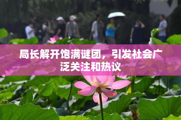 局长解开饱满谜团，引发社会广泛关注和热议