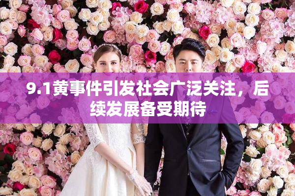 9.1黄事件引发社会广泛关注，后续发展备受期待