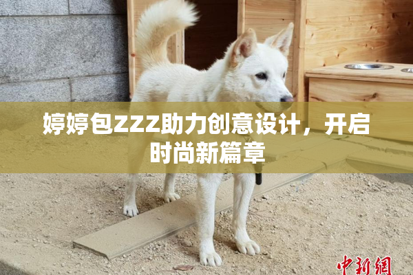 婷婷包ZZZ助力创意设计，开启时尚新篇章