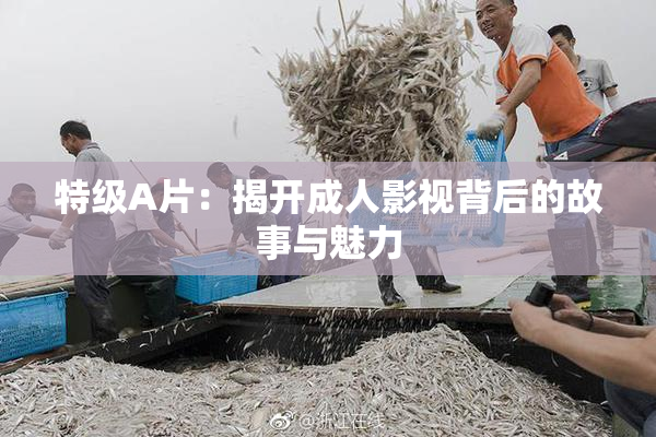 特级A片：揭开成人影视背后的故事与魅力