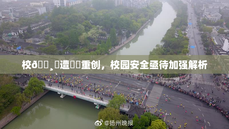 校🌸‌遭❌‌重创，校园安全亟待加强解析