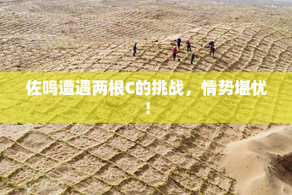 佐鸣遭遇两根C的挑战，情势堪忧！