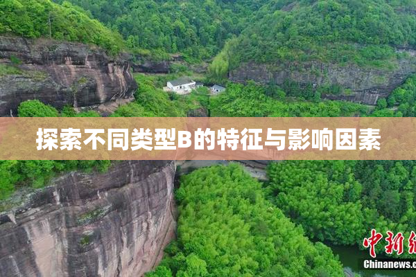 探索不同类型B的特征与影响因素