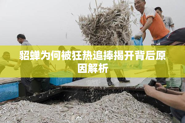 貂蝉为何被狂热追捧揭开背后原因解析