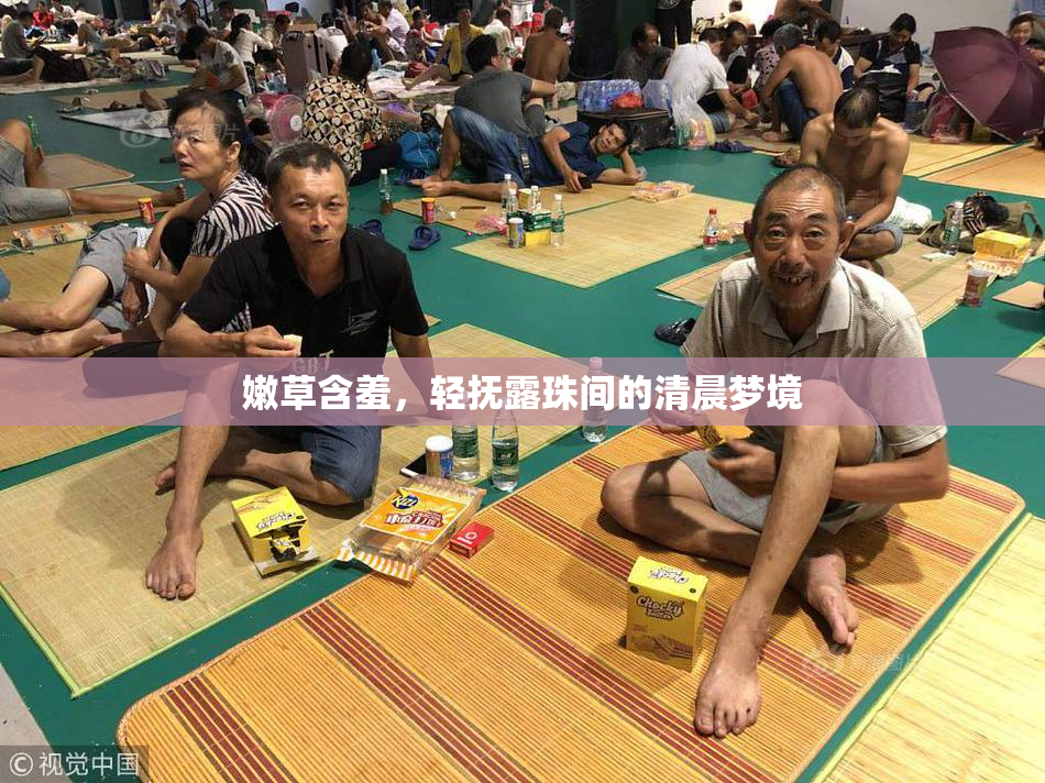 嫩草含羞，轻抚露珠间的清晨梦境