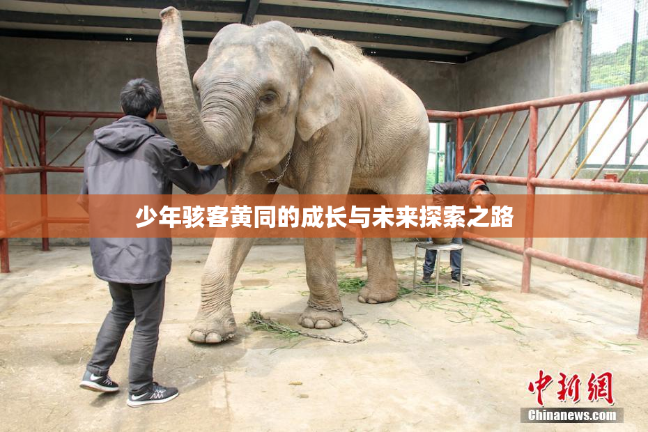 少年骇客黄同的成长与未来探索之路