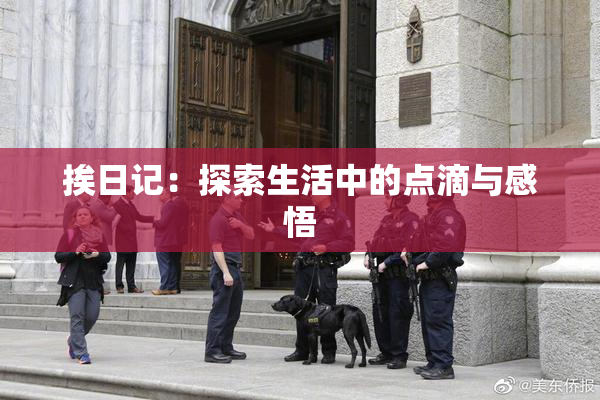 挨日记：探索生活中的点滴与感悟
