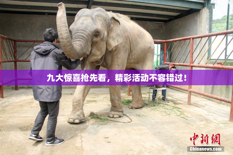 九大惊喜抢先看，精彩活动不容错过！