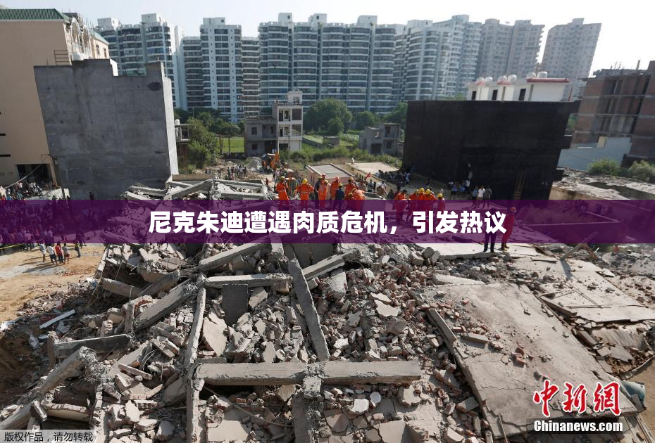 尼克朱迪遭遇肉质危机，引发热议