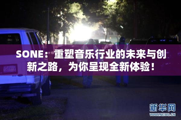 SONE：重塑音乐行业的未来与创新之路，为你呈现全新体验！