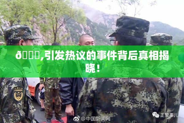 🈚,引发热议的事件背后真相揭晓！