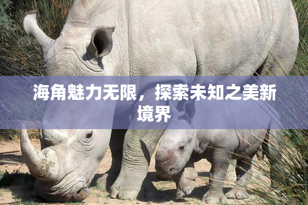 海角魅力无限，探索未知之美新境界