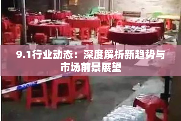 9.1行业动态：深度解析新趋势与市场前景展望