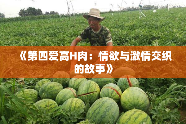 《第四爱高H肉：情欲与激情交织的故事》
