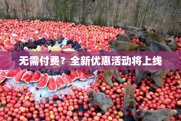 无需付费？全新优惠活动将上线