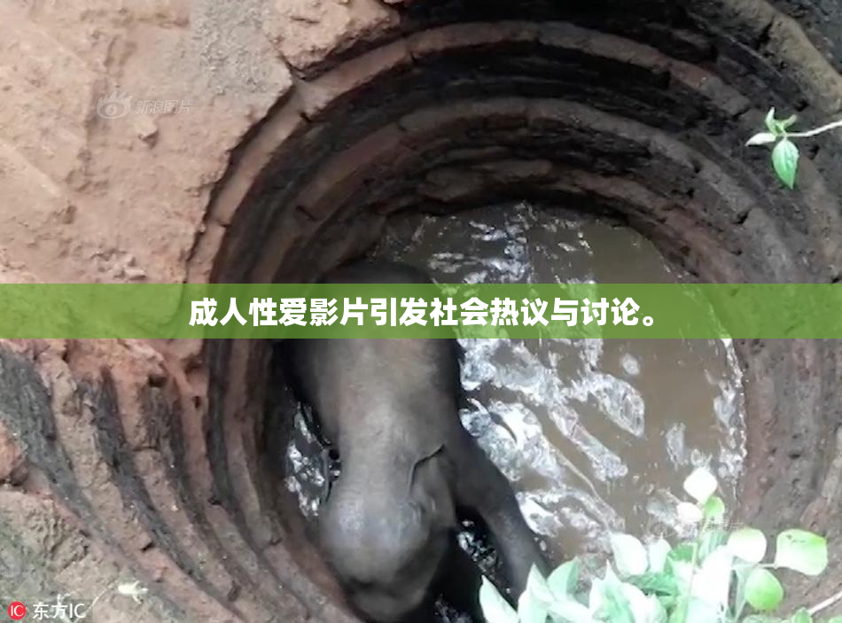 成人性爱影片引发社会热议与讨论。