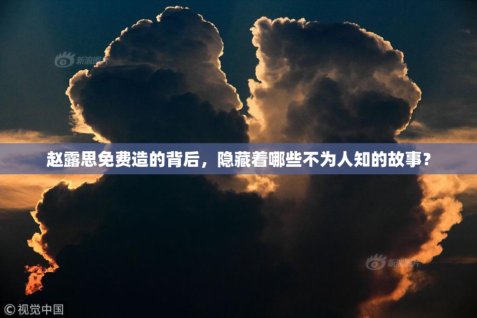 赵露思免费造的背后，隐藏着哪些不为人知的故事？