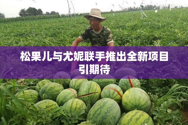 松果儿与尤妮联手推出全新项目引期待