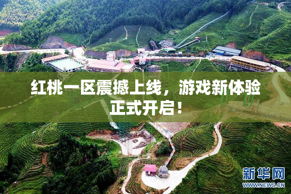 红桃一区震撼上线，游戏新体验正式开启！