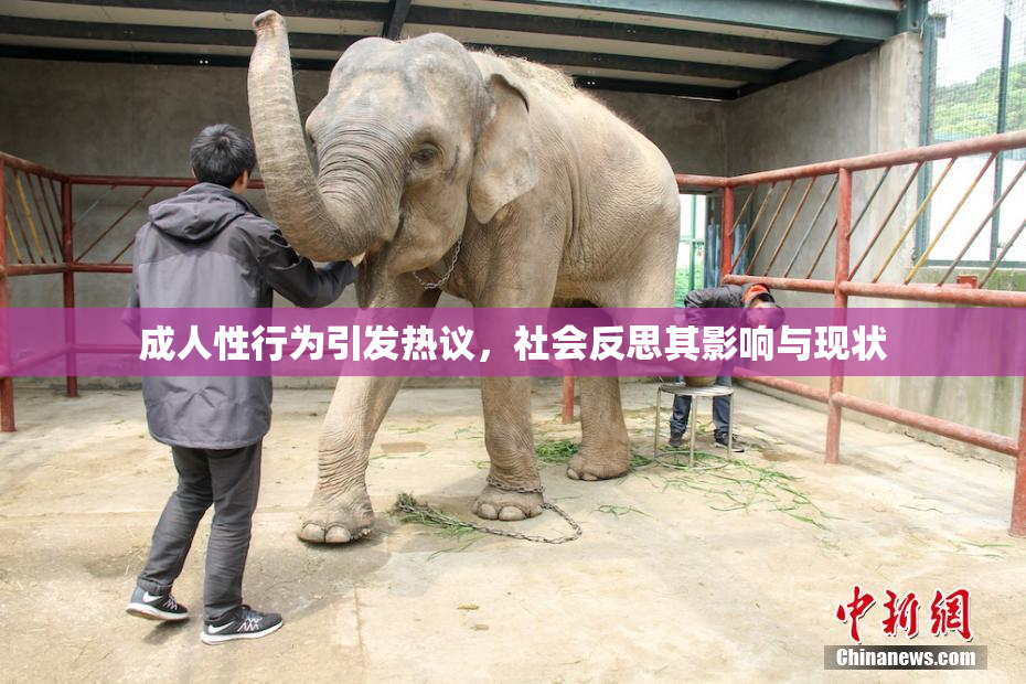 成人性行为引发热议，社会反思其影响与现状