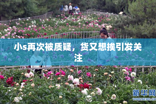 小s再次被质疑，货又想挨引发关注