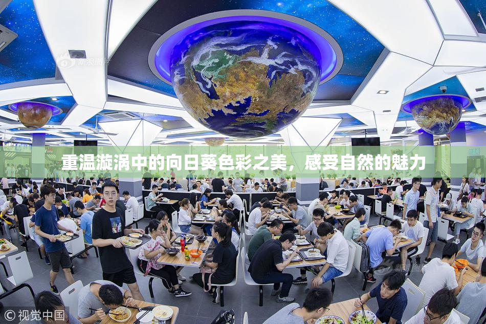 重温漩涡中的向日葵色彩之美，感受自然的魅力