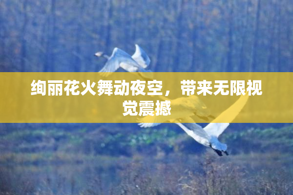 绚丽花火舞动夜空，带来无限视觉震撼