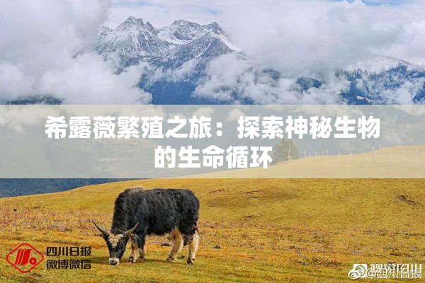 希露薇繁殖之旅：探索神秘生物的生命循环