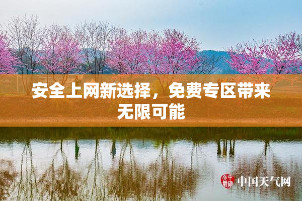 安全上网新选择，免费专区带来无限可能