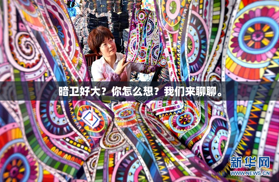 暗卫好大？你怎么想？我们来聊聊。