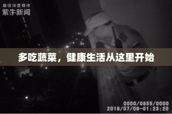 多吃蔬菜，健康生活从这里开始
